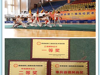 新葡京官网学生在安徽省第二届高校武术锦标赛中荣获佳绩