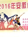 新葡京官网健美操队在2016年安徽省大学生健美操比赛中喜获佳绩