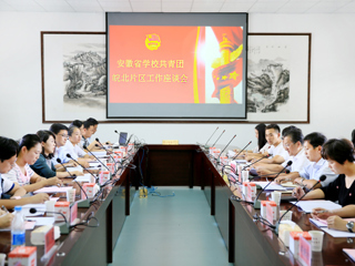 安徽省共青团皖北片区工作交流会在新葡京官网召开