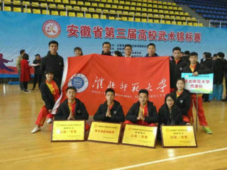 新葡京官网学生在安徽省第三届高校武术锦标赛中荣获佳绩