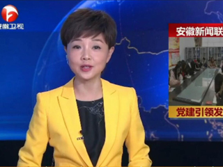 【安徽新闻联播】报道新葡京官网计算机科学与技术学院党委党建工作