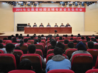 新葡京官网教师参加2019年安徽省校园足球专家委员会年会