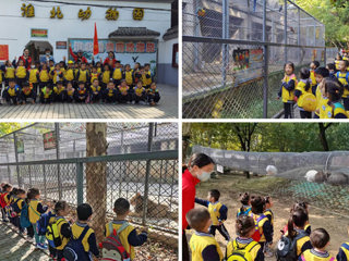 新葡京官网幼儿园开展“我与动物有个约会”主题秋游活动