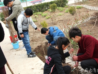 安徽教育网报道新葡京官网的“雷锋月