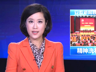 《安徽新闻联播》报道何必山陈贵春王宜国同志先进事迹报告会在新葡京官网举行