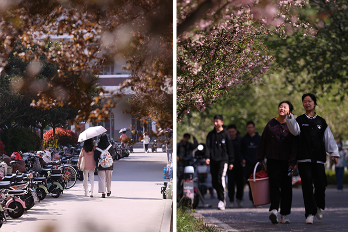 6bbdb040289f4d85ba38c56179506912.jpg 6bbdb040289f4d85ba38c56179506912.jpg