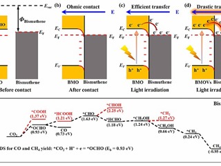 新葡京官网研究团队在《Adv. Mater.》发表研究成果
