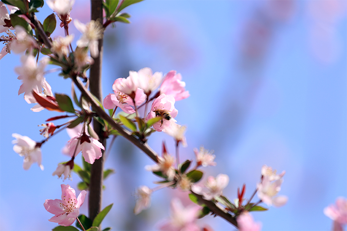 cbe7c2ec1baf4f7fbfaaf8026cdb408d.jpg cbe7c2ec1baf4f7fbfaaf8026cdb408d.jpg