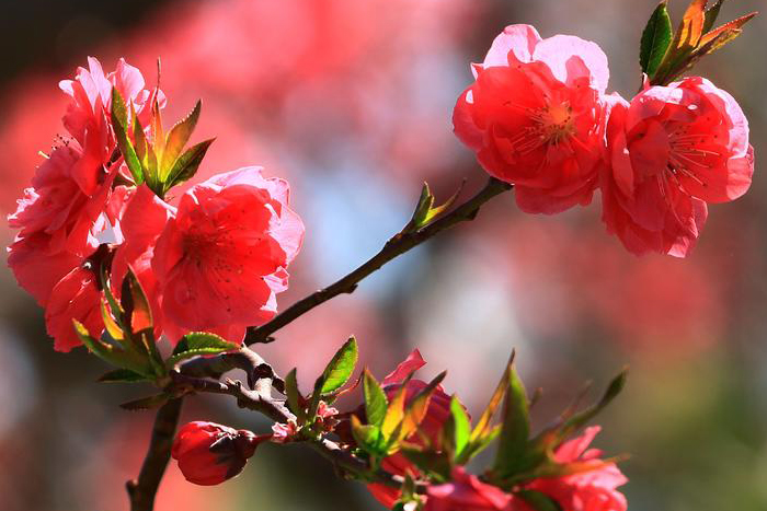 0e7d749262c84a928c275a69d25bd477.jpg 0e7d749262c84a928c275a69d25bd477.jpg