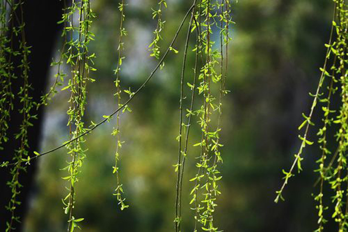 7c0f0a384c814c039570c5c573200659.jpg 7c0f0a384c814c039570c5c573200659.jpg