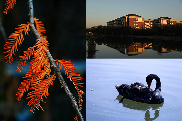 d0f2d48046bc42fb8bffeff786a9998c.jpg d0f2d48046bc42fb8bffeff786a9998c.jpg