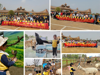 新葡京官网幼儿园赴徐州九顶山野生动物园开展亲子研学活动