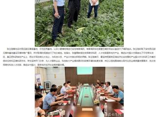 【主题教育】安徽教育网： 走出去 沉下来 3003新葡官方网站深入省级科研基地调研