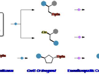 新葡京官网教育部重点实验室徐梦雨团队在《Angewandte Chemie International Edition》发表高水平研究成果