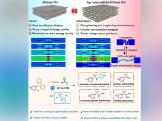 新葡京官网化学学科连续发表高水平科研成果