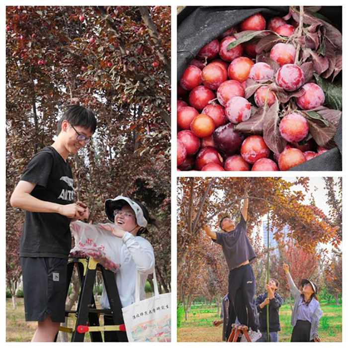 e3ef7f7d572946d693a6d2a4fed44fb9.jpg e3ef7f7d572946d693a6d2a4fed44fb9.jpg