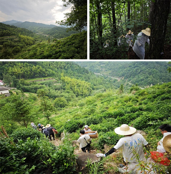 cc007320922641a3b2a28b761e9d3b06.jpg cc007320922641a3b2a28b761e9d3b06.jpg