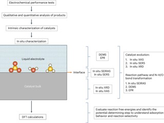 新葡京官网教师应《Nature Protocols》 期刊邀请发表论文